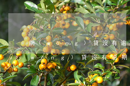 網(wǎng)貸沒有逾期怎么貸不了(網(wǎng)貸沒有逾期怎么貸不了)