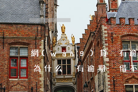 網(wǎng)貸沒有逾期為什么借不出來(為什么沒有逾期卻借不了網(wǎng)貸)