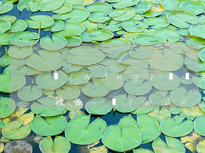 網(wǎng)貸沒有逾期為什么審核一直被拒-網(wǎng)貸沒有逾期為什么審核一直被拒呢
