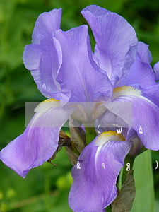 網(wǎng)貸沒有逾期給朋友打(網(wǎng)貸沒有逾期打親屬電話)