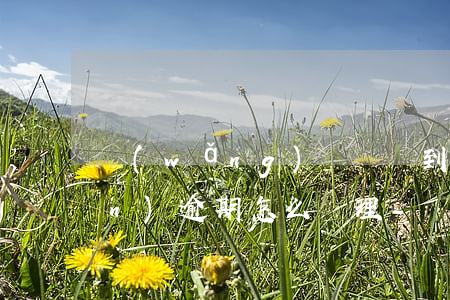 網(wǎng)貸沒貸到款但出現(xiàn)逾期怎么處理-網(wǎng)貸沒貸到款但出現(xiàn)逾期怎么處理呢
