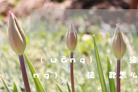 網(wǎng)貸沒辦法還怎么辦(網(wǎng)貸無法還款怎么辦)