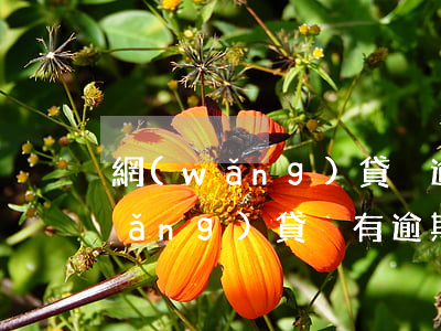 網(wǎng)貸沒逾期但是借不到(網(wǎng)貸沒有逾期但是就是借不到了)