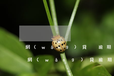 網(wǎng)貸沒逾期影響信用卡審核嗎 網(wǎng)貸逾期會影響辦理信用卡嗎