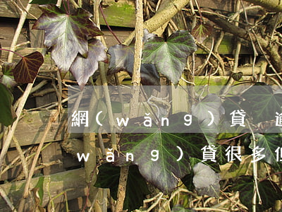 網(wǎng)貸沒逾期影響公積金嘛(網(wǎng)貸很多但是沒有逾期會影響嗎)
