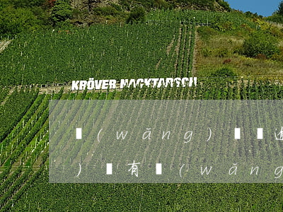 網(wǎng)貸沒逾期影響考公務(wù)員(有網(wǎng)貸但是沒有逾期會影響公務(wù)員政審嗎)