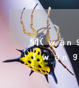 網(wǎng)貸沒逾期怎么被拒絕(所有網(wǎng)貸被拒)