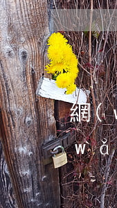 網(wǎng)貸沒逾期收到威脅短信(網(wǎng)貸逾期短信收到立案通知是真的不)