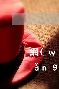 網(wǎng)貸沒逾期是否上征信(網(wǎng)貸沒有逾期上征信嗎)