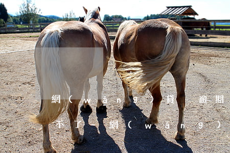 網(wǎng)貸沒逾期為什么信用卡申請不了-網(wǎng)貸沒逾期為什么信用卡申請不了了