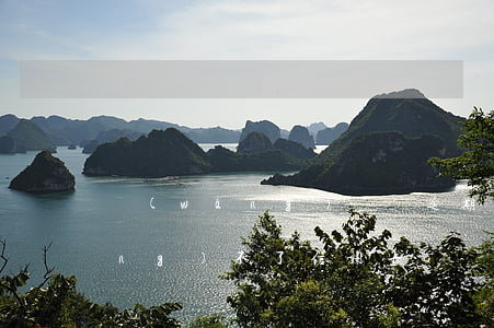 網(wǎng)貸沒逾期為什么申請(qǐng)不了信用卡-網(wǎng)貸沒逾期為什么申請(qǐng)不了信用卡了