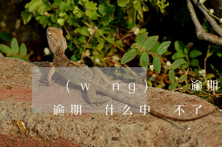網(wǎng)貸沒逾期申請不了了(我沒有逾期為什么申請不了網(wǎng)貸了?)
