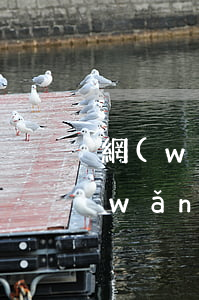 網(wǎng)貸沒逾期總是遇到催收(網(wǎng)貸逾期沒有催收怎么回事)