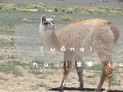 網(wǎng)貸沒還會(huì)不會(huì)坐牢(網(wǎng)貸沒還會(huì)立案嗎)