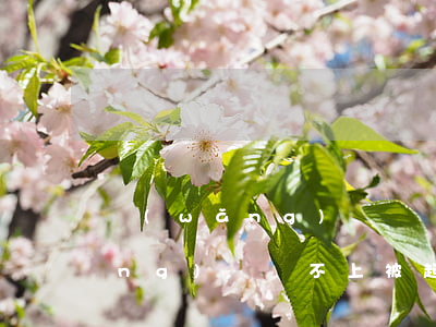 網(wǎng)貸沒還會被起訴嗎(網(wǎng)貸還不上被起訴是什么結(jié)果)