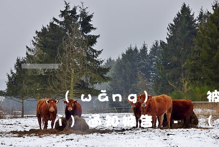 網(wǎng)貸沒還被起訴法院會(huì)通知被告嗎-網(wǎng)貸沒還被起訴法院會(huì)通知被告嗎知乎