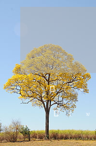 網(wǎng)貸沒錢還了在家等起訴 欠了網(wǎng)貸沒錢還