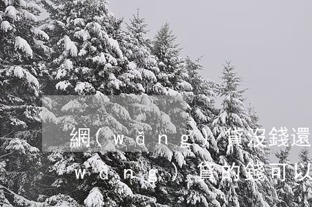 網(wǎng)貸沒錢還可不可以不還(網(wǎng)貸的錢可以不還嗎)