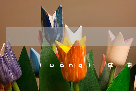網(wǎng)貸注冊太多了怎么辦