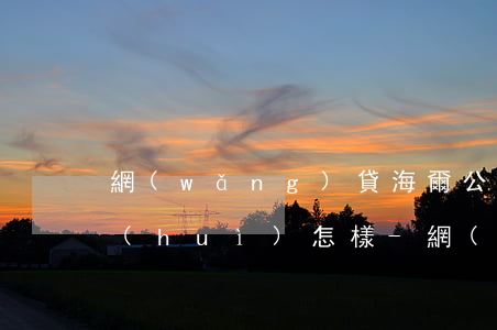 網(wǎng)貸海爾公司欠錢起訴法院會(huì)怎樣-網(wǎng)貸海爾公司欠錢起訴法院會(huì)怎樣處理
