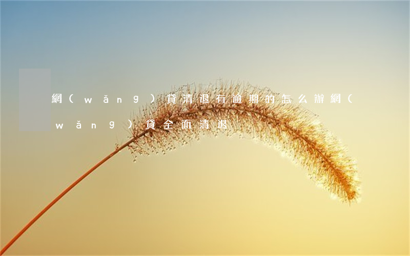 網(wǎng)貸清退有逾期的怎么辦(網(wǎng)貸全面清退)