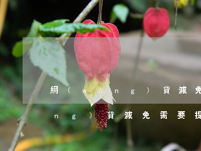 網(wǎng)貸減免后會起訴嗎(網(wǎng)貸減免需要提交什么資料)