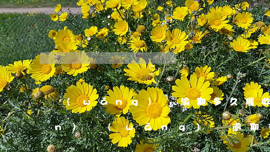 網(wǎng)貸渝期多久催收上門(mén) 網(wǎng)貸逾期多久會(huì)進(jìn)入上門(mén)催收階段