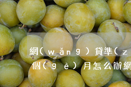 網(wǎng)貸準(zhǔn)備逾期一個(gè)月怎么辦(網(wǎng)貸逾期一個(gè)月會(huì)怎么樣)