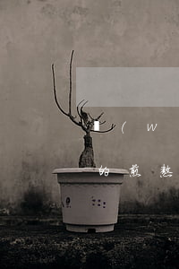 網(wǎng)貸準(zhǔn)備逾期前的煎熬(網(wǎng)貸逾期最后會(huì)怎么樣)