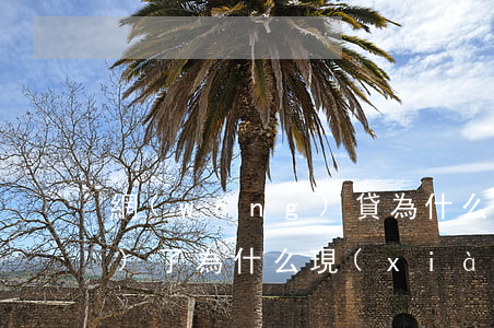 網(wǎng)貸為什么借不出來(lái)了(為什么現(xiàn)在網(wǎng)貸都借不出來(lái)了)