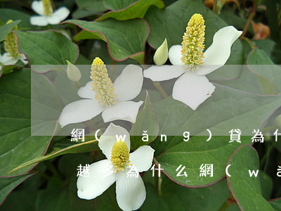 網(wǎng)貸為什么會(huì)越還越多(為什么網(wǎng)貸越來(lái)越還不清)