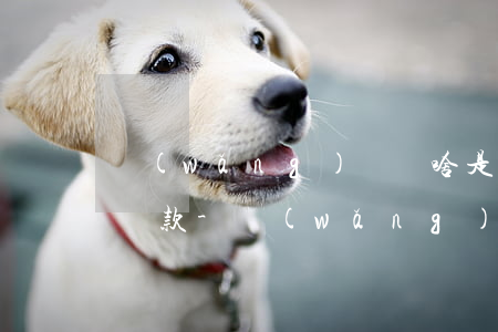 網(wǎng)貸為啥是通過支付寶二維碼還款-網(wǎng)貸為什么要通過支付寶來認(rèn)證