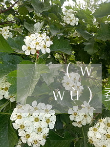 網(wǎng)貸無(wú)力償還債務(wù)委托是真的嗎(網(wǎng)貸無(wú)力償還債務(wù)委托是真的嗎)