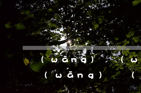 網(wǎng)貸無(wú)力償還被起訴(網(wǎng)貸無(wú)力償還被起訴會(huì)怎么樣)