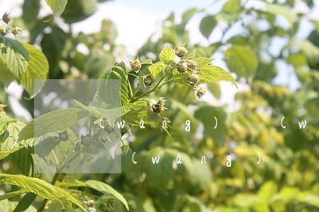 網(wǎng)貸無(wú)逾期可以買房嗎(網(wǎng)貸從來(lái)沒(méi)有逾期過(guò)可以按揭買房嗎)