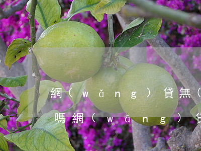 網(wǎng)貸無(wú)逾期影響入職嗎(網(wǎng)貸影響銀行入職嗎)