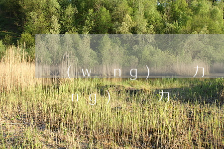 網(wǎng)貸無力償還什么后果(網(wǎng)貸無力償還處理方式)