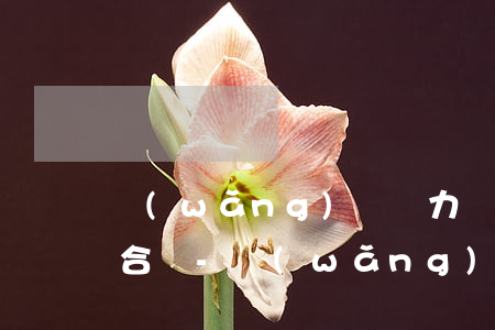 網(wǎng)貸無力償還做什么樣的工作合適-網(wǎng)貸無力償還做什么樣的工作合適呢