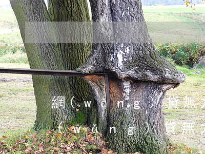 網(wǎng)貸無力償還怎么解決方法(網(wǎng)貸無力償還怎么解決方法呢)