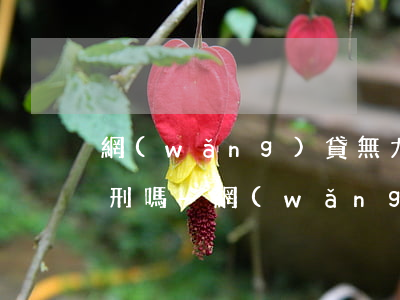 網(wǎng)貸無力償還會(huì)判刑嗎-網(wǎng)貸無力償還后果