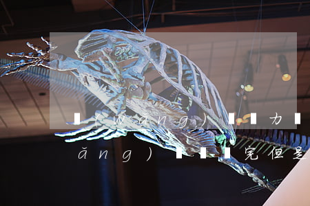 網(wǎng)貸無力償還未逾期-網(wǎng)貸沒還完但是沒逾期影響貸款嗎
