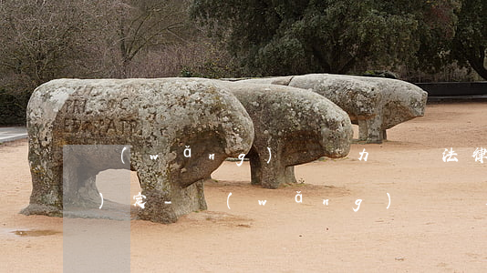 網(wǎng)貸無力償還法律規(guī)定-網(wǎng)貸無力償還法律規(guī)定