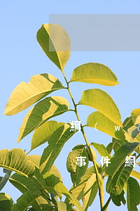 網(wǎng)貸無力償還真實(shí)事件 網(wǎng)貸無力償還了怎么辦會(huì)不會(huì)坐牢