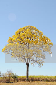 網(wǎng)貸無力償還答辯狀(網(wǎng)貸被告答辯狀)