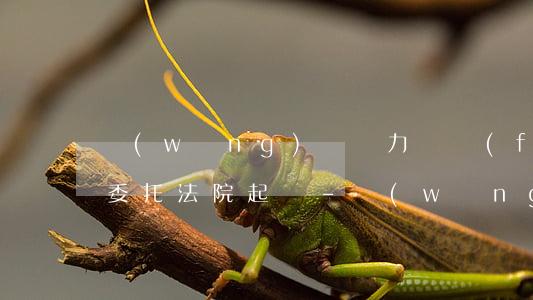 網(wǎng)貸無力還發(fā)信息說委托法院起訴-網(wǎng)貸無力還發(fā)信息說委托法院起訴是真的嗎