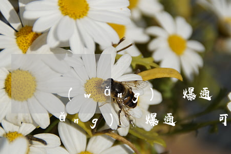 網(wǎng)貸爆通訊錄了怎么辦 網(wǎng)貸爆通訊錄可以要求賠償嗎