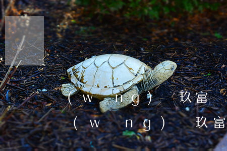 網(wǎng)貸玖富萬卡欠了8000多(網(wǎng)貸玖富萬卡欠了8000多)
