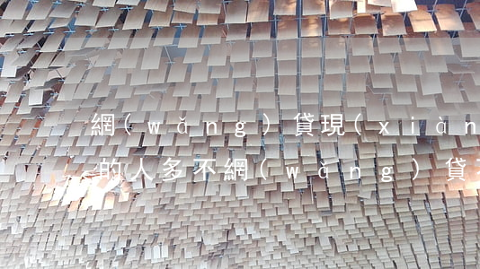 網(wǎng)貸現(xiàn)金貸不還的人多不(網(wǎng)貸不還的人多嗎)