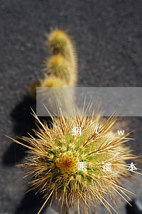 網(wǎng)貸申請(qǐng)停息掛賬還本金需要什么條件-網(wǎng)貸申請(qǐng)停息掛賬還本金需要什么條件呢