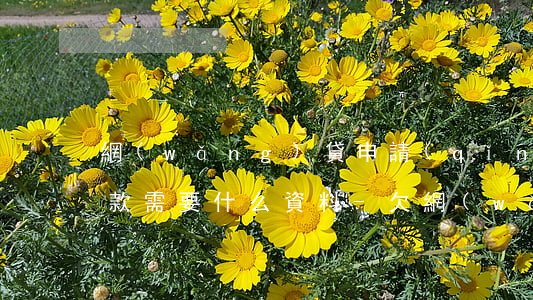 網(wǎng)貸申請(qǐng)延期還款需要什么資料-欠網(wǎng)貸無力償還2023年新規(guī)出來了